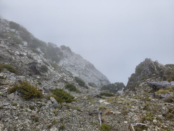 北一段(06/14)巴巴山 2025_0906~132886719