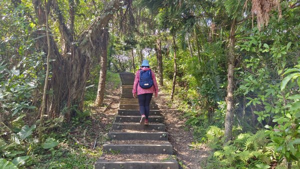 (姨婆趴趴走)第三十一集:新北金山獅頭山公園、神秘海岸、老街縱走2340217