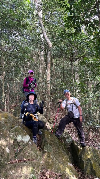 南庄鵝公髻山東河線2970563