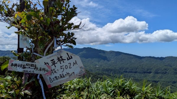 114.06.28內平林山-番子坑山-平湖森林遊樂區之O型2824234