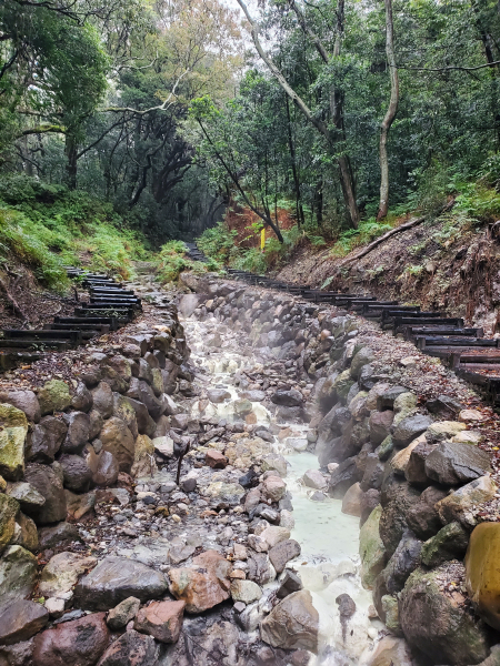 紫明溪步道，冷冷的天泡腳去