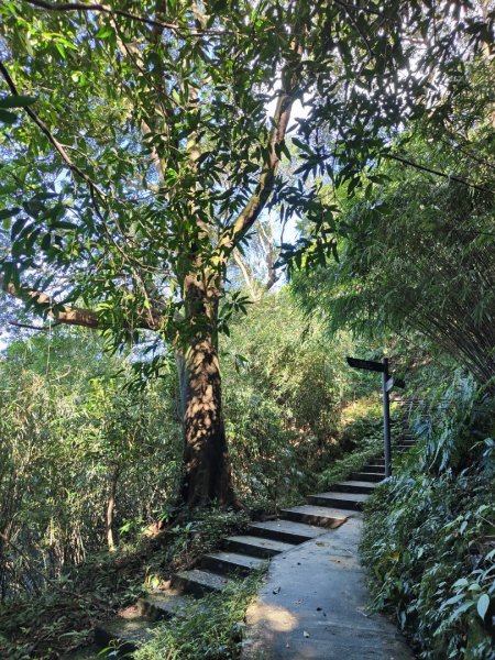 2023.12.14 紅淡山2826442