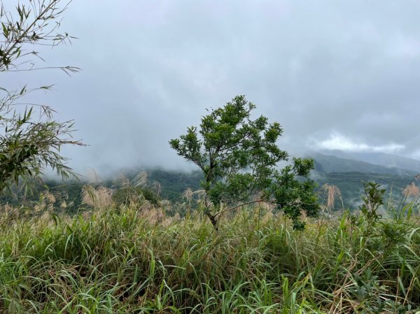 三角崙山五路會師1902889