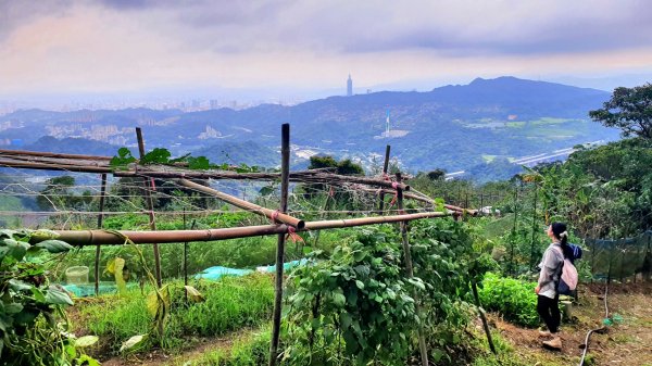 炮子崙瀑布，炮子崙古道，土庫岳，山豬窟尖，小南港山，山水綠生態公園，汐止三秀山，拱北殿後山步道1732961