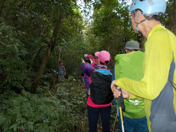蕃社坑山連走鳳紗山隘勇線1107138