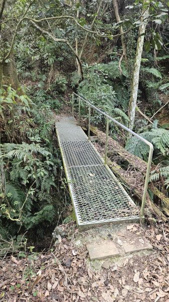 20251218犁頭山-吧哩國山主東峰-石頭坑山西南峰-石頭坑山2967014