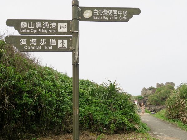 麟山鼻濱海步道 駱駝峰 富貴角公園1340687