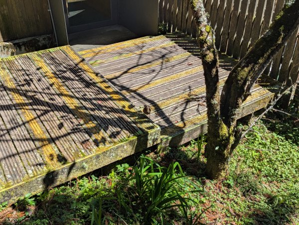 2025.09.28－太平山森林遊樂區2898779