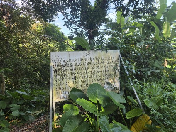 20260924濕水子山北峰-四分子山-東南峰3123705