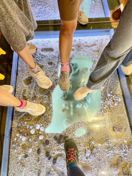 雨天備案💙 台灣博物館的古生代館-台大動植物館免費參觀-北投♨️季2799013