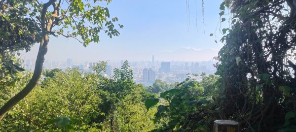 高雄壽山、半屏山2943044