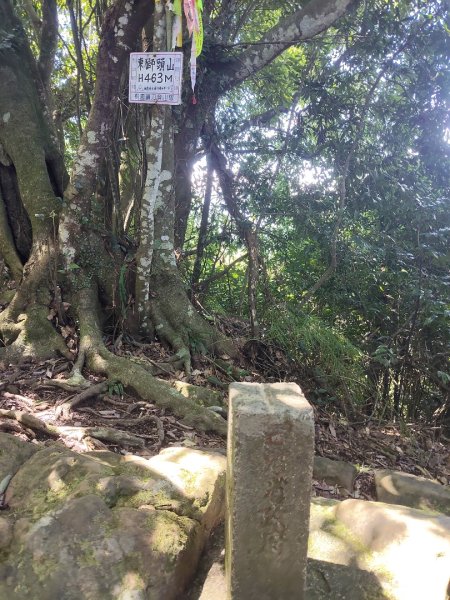 關西赤柯山、東獅頭山步道（玉山太元宮中元）2881684