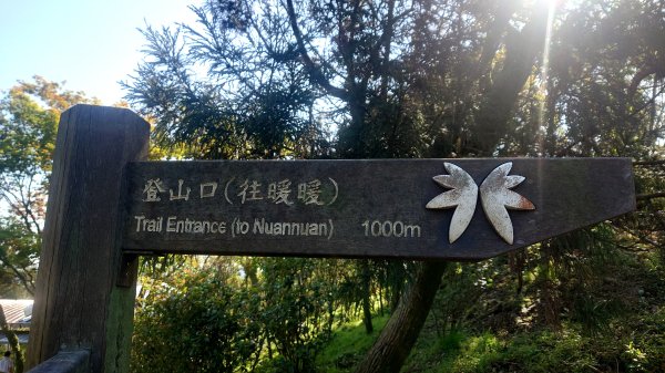 春天鮮綠的呢喃基隆荖寮坑古道上望古山登五分山O型2747334