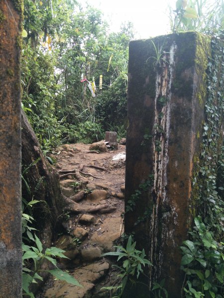 二格山登山步道(栳寮線)1703481