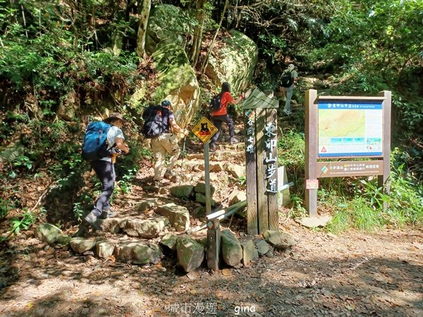 【台中和平】台灣百大必訪步道~谷關七雄-東卯山步道2302462