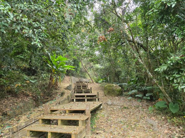 石硦林場（桶頭山）2991252