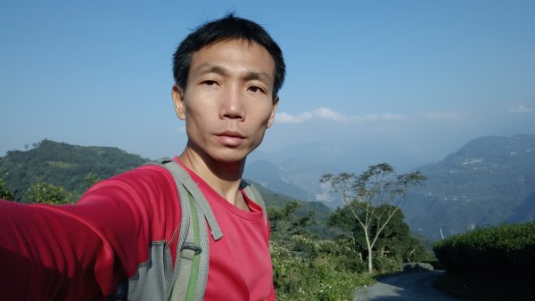 大巃頂後花茶園 2021年12月5日1538680