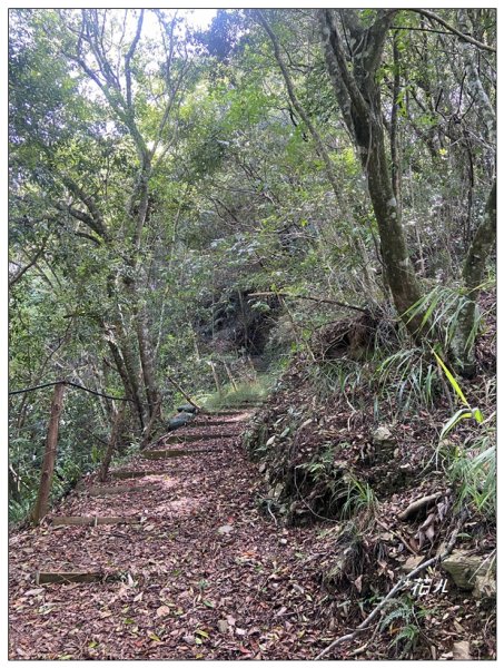 荷戈富士山(史努櫻步道)2610389