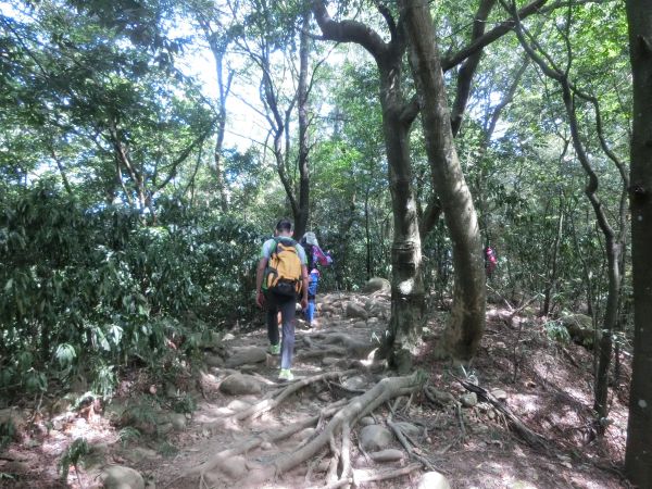 觀日坪古道．飛鳳山182504