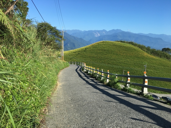 六十石山衝日出 - 金針花海之旅59299