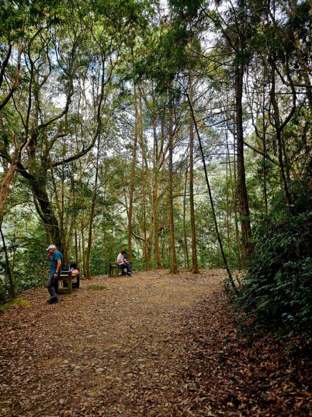 橫嶺山步道 - 2024年最有意義的山2653706