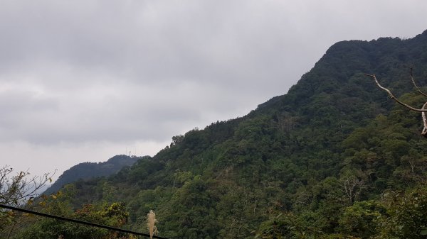 苗栗獅潭仙山509372