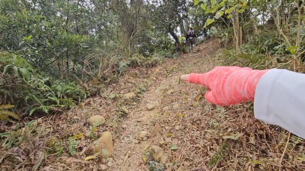 20260127三通嶺山.三義山(大桁茂山).慈濟山.大坪山大O走2989975