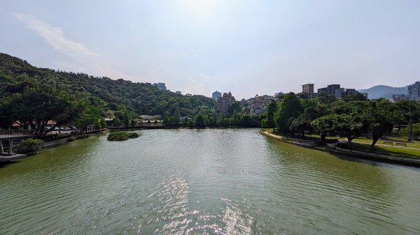 內湖,大湖,康寧,東湖2498596