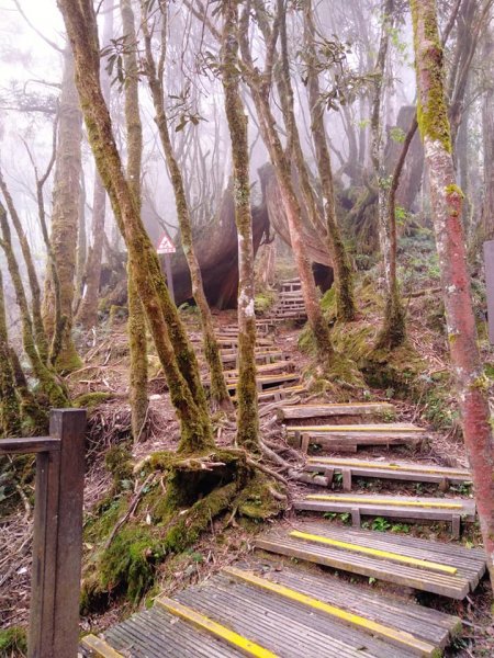 郊山步道964512