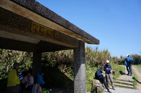 風擎步道(風櫃嘴至擎天崗)2059140