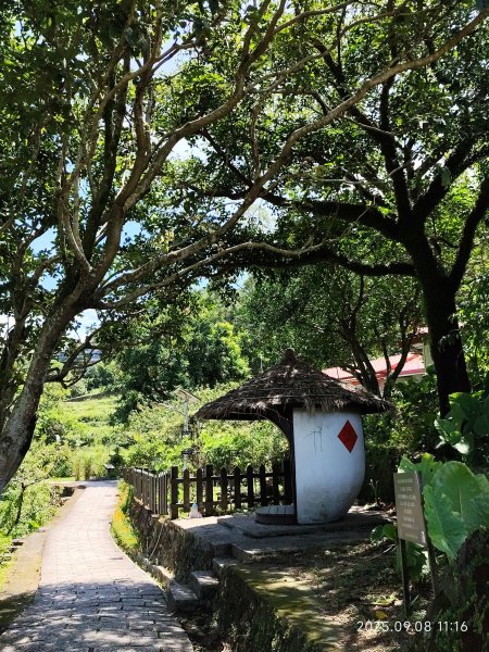 【臺北大縱走 7】2-1 樟山寺→樟樹步道→彩雲亭→相思炭窯→貓纜貓空站→指南路三段40巷2881797