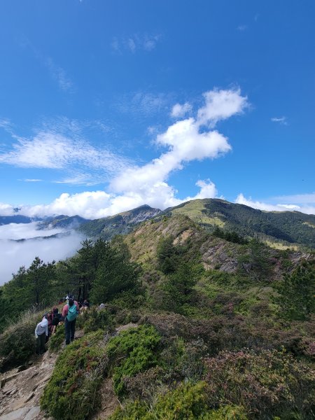 2026-0517-合歡北峰初探3066516