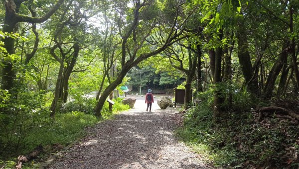 (姨婆趴趴走)第五十五集:攀登健走台北大崙頭尾山親山步道環狀一圈2853725