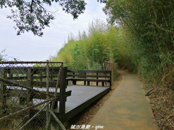 適合賞景健身親子型步道~鳳凰山觀音山步道1244190