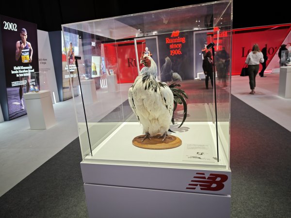 2025_0425 倫敦馬拉松順遊西歐 D7b(領倫敦馬拉松參賽物資)2793720