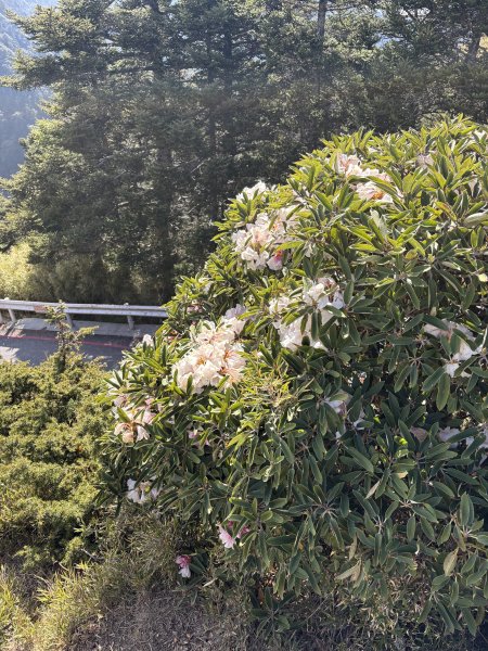 合歡石門山3050984