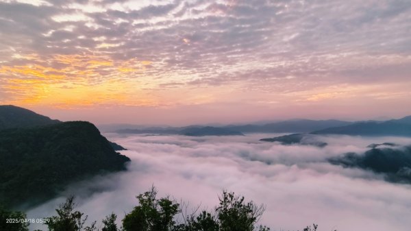 #翡翠水庫壩頂 #日出雲海 #火燒雲 #藍腹鷴 #夜路走多了總會遇到鬼？！#松月櫻 4/182764581