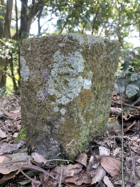 20250228屏東達洼蘭山-下達洼蘭山2732877