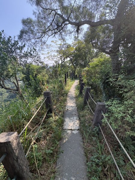 20251012高雄大社觀音山步道2915094