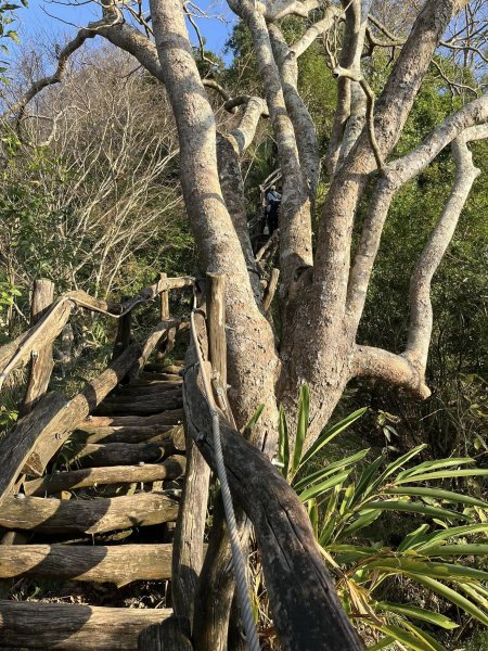 大坑二號步道2711559