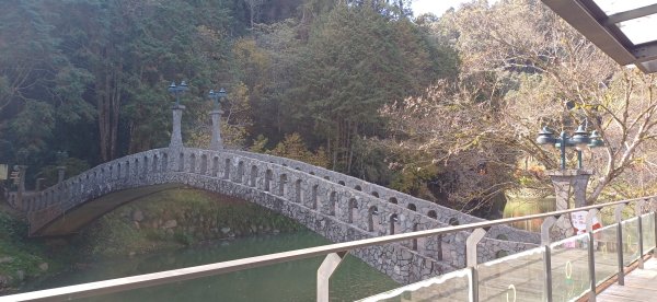 杉林溪青龍蕨類步道.南投竹山2703017