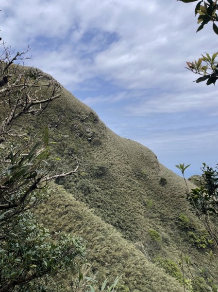 小觀音山清玉線2756603