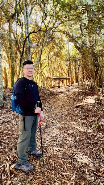 🌈11/15（六）松鶴上八仙山下森林遊樂區✨FB：熊熊趴爬走🌈2937671