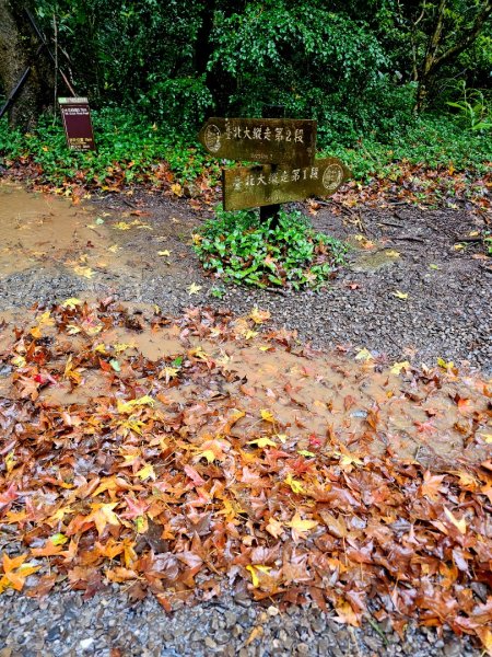 2025臺北大縱走第二段：二子坪至小油坑2973512