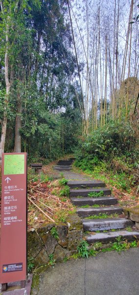2025-01-18頂湖步道2694222