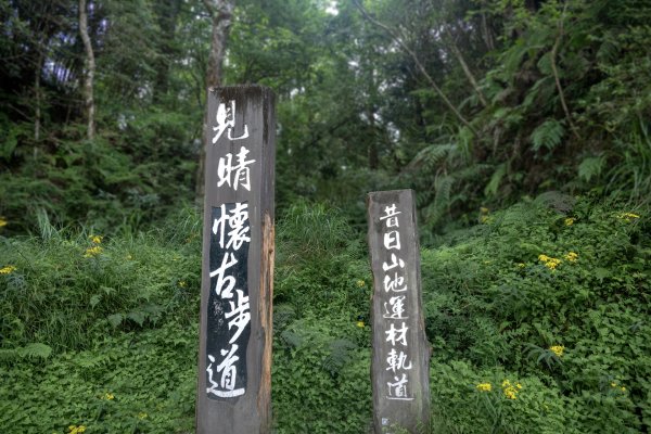 太平山避暑2829137