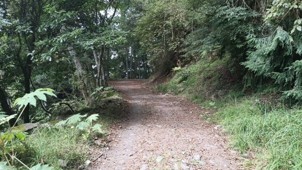 20251010 大雪山國家森林遊樂區 - 船型山林道 登 烏石坑山2911042