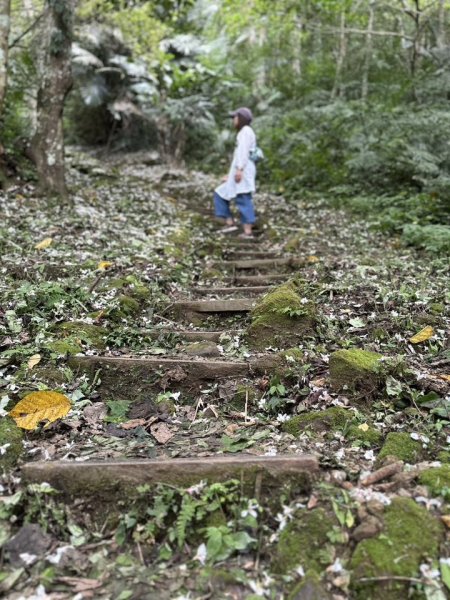 20250504大艽芎古道2837821