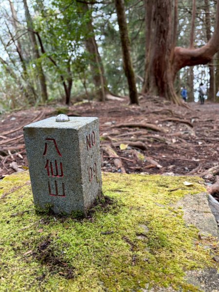 2026/02/08馬崙山3008153