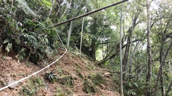 雙溪區烏山越嶺古道西段3073322